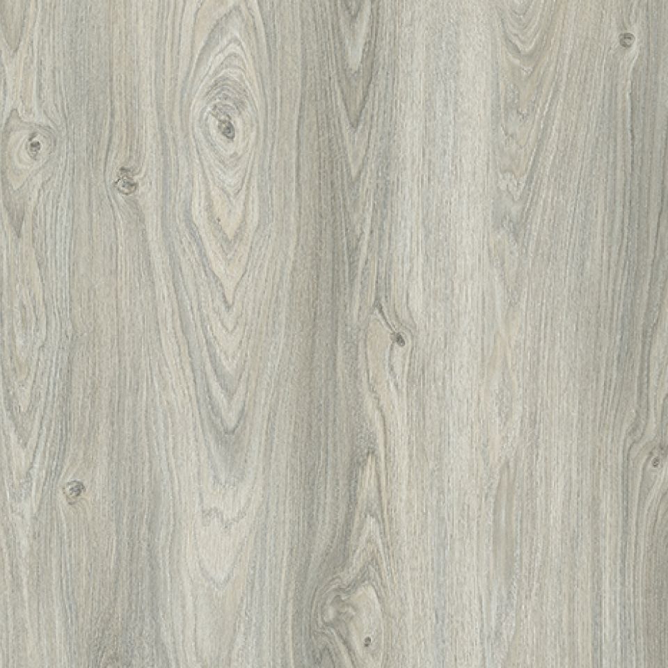 Suelo Laminado AC5 N-Line / Plus Roble gris 505